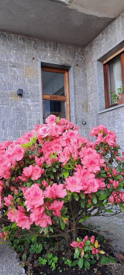 Villa La Serra Baveno Kültér fotó